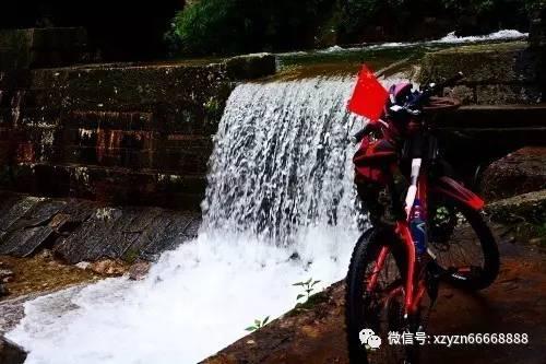 《动物园》亏了7000万，包贝尔不甘心又带来一部新片